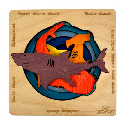 Endangered Sharks - Kee&Ka