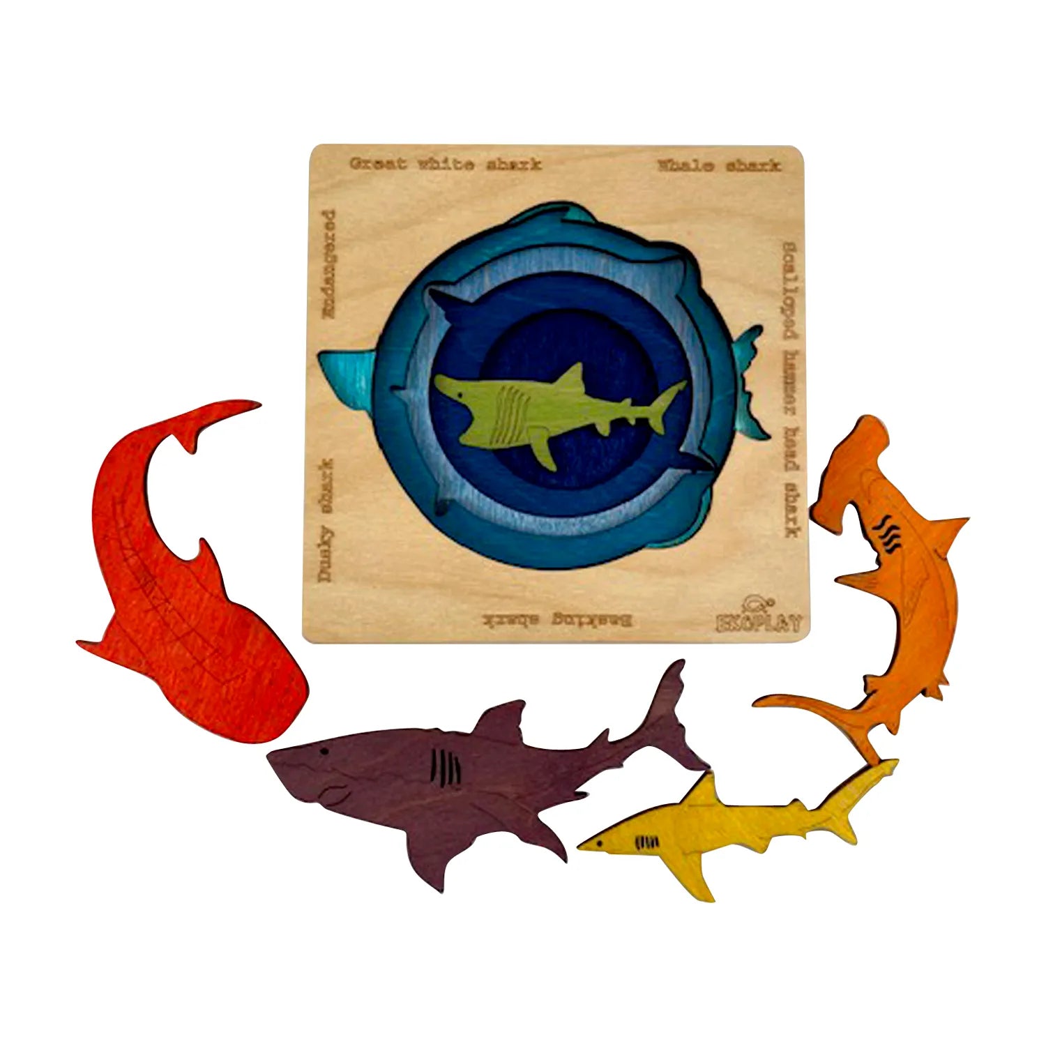 Endangered Sharks - Kee&Ka