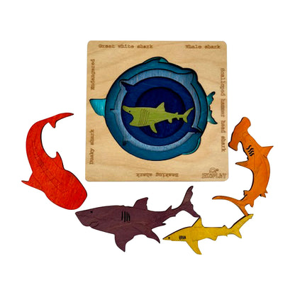 Endangered Sharks - Kee&Ka
