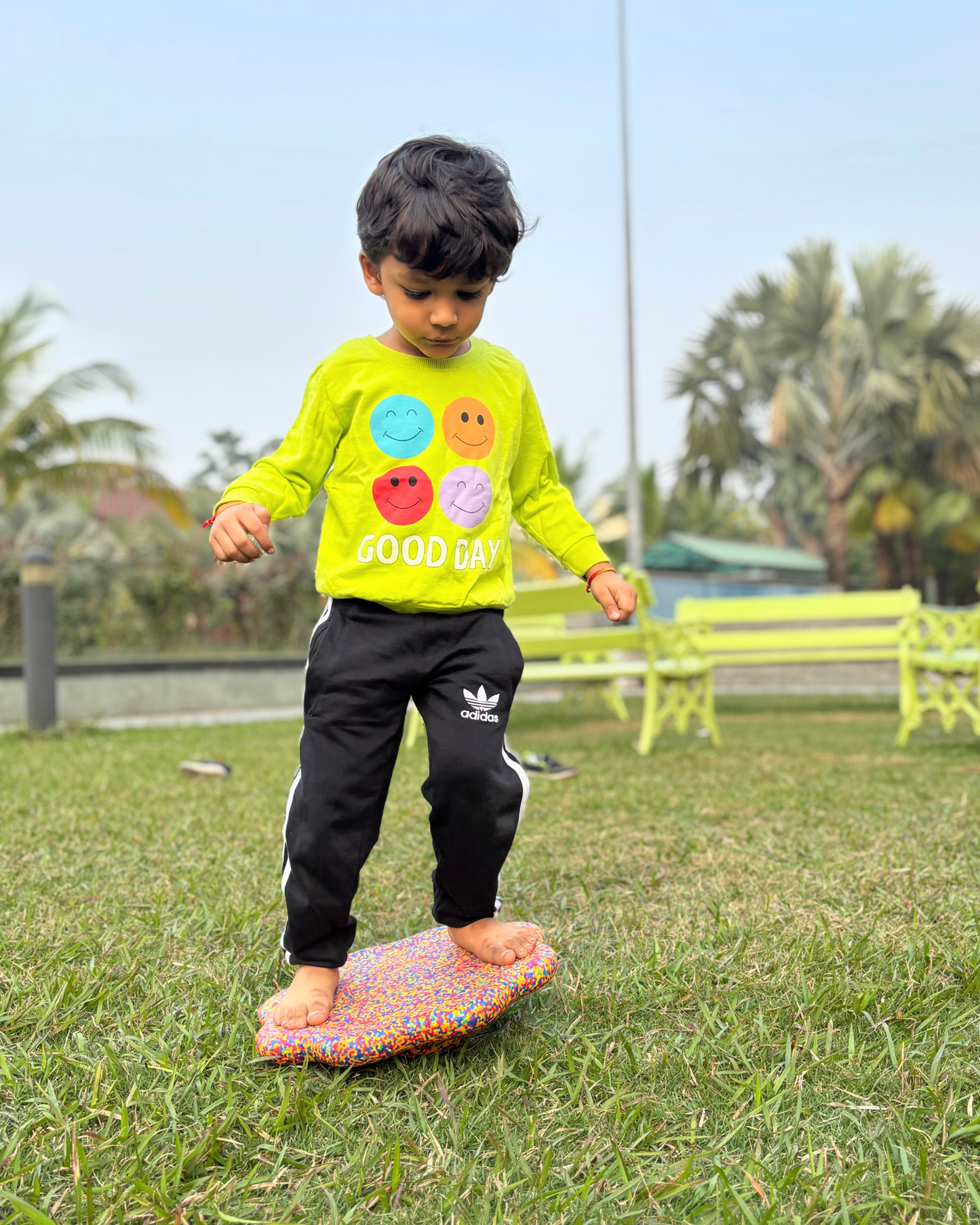 Stepping Stone & Balance Board Combo