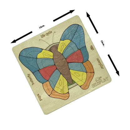 Life Cycle of a Butterfly - Kee&Ka