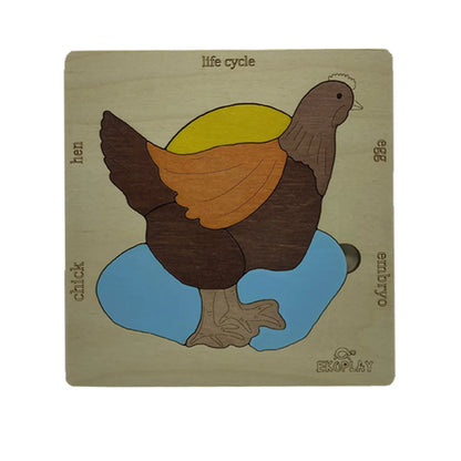 Life Cycle of a Chicken - Kee&Ka